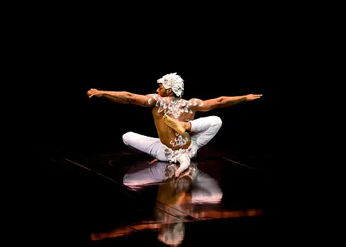 Cirque Du Soleil Echo