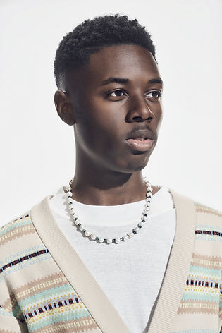 The Chi's Alex Hibbert