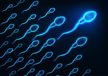 Male Birth Control - Sperm